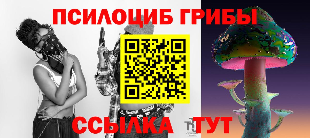 Псилоцибиновые грибы мухоморы Гусев